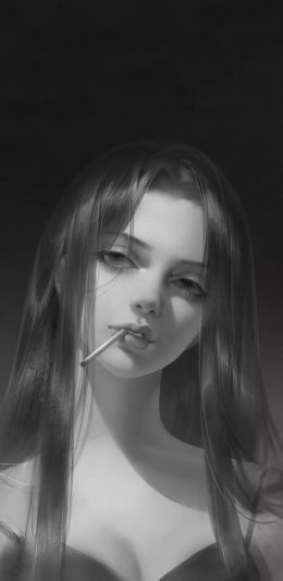 21601080 - ȫֻֽ